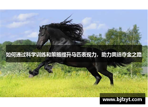 如何通过科学训练和策略提升马匹表现力，助力奥运夺金之路